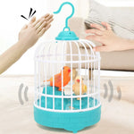 Parlanchín®/ Pajaritos que repiten y cantan